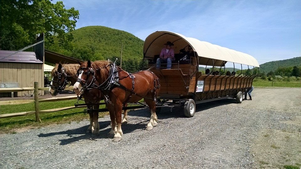 Wagon Ride in Pine Creek Gorge - Mon., Sept. 30, 2024